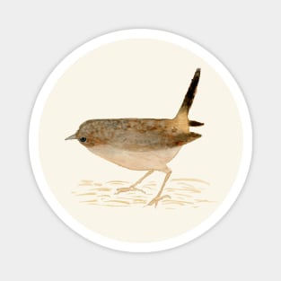 Watercolor house wren Magnet